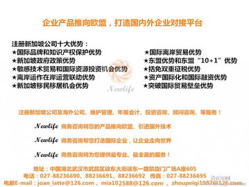 新加坡 全球贸易枢纽的运作与战略优势